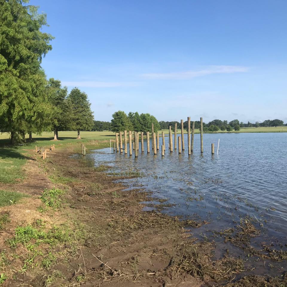 86346561_482160859333871_8046984836692312064_n